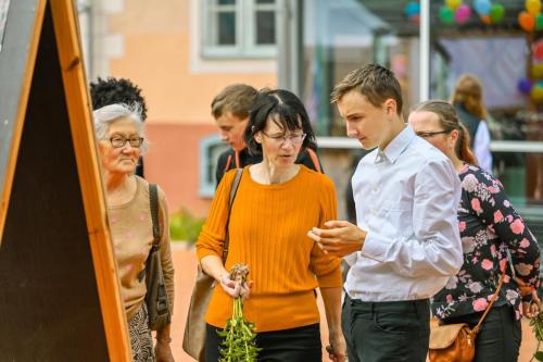 124706junijs-12-2024