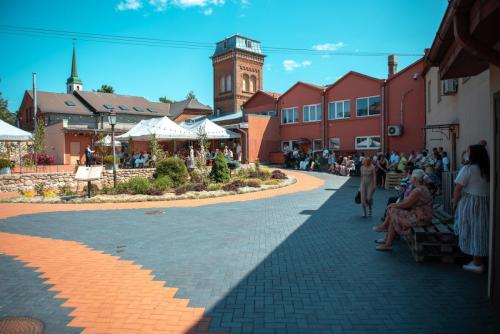 13134053dsc 7671 (1) (1) (1) (1)