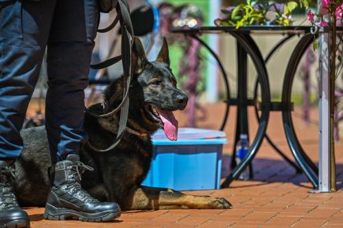 134953junijs-12-2024