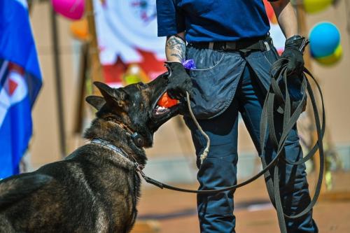 135406junijs-12-2024