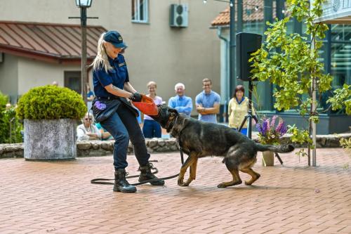 140035junijs-12-2024