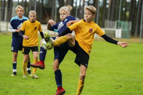 51520863266 22289a23bf h