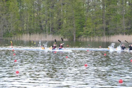 dsc 0119 (1) (1) (1)