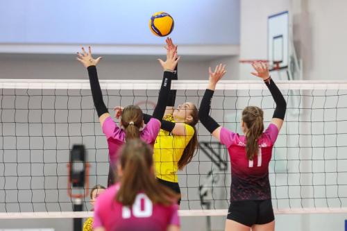 foto arturs-stiebrins-2