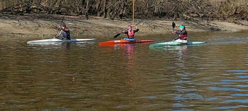 whatsapp-image-2022-03-21-at-2.22.18-pm