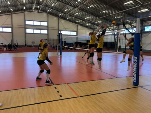 whatsapp-image-2022-04-04-at-2.56.41-pm-6