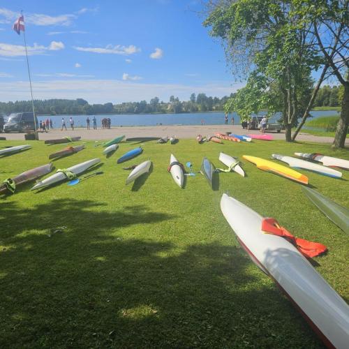 whatsapp-image-2024-08-15-at-08.18.15-2