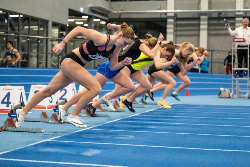 whatsapp-image-2026-01-08-at-16.39.14